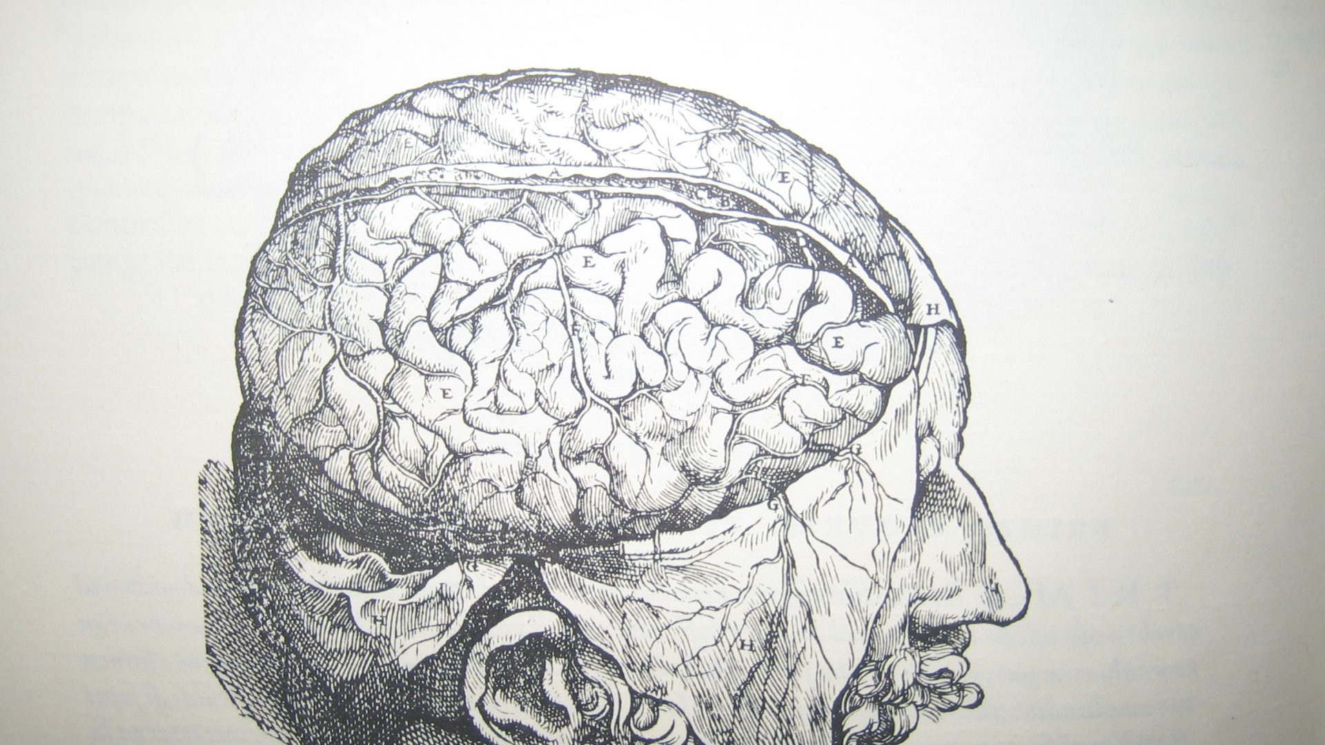 2007-10-11 16.15.45 2007-10-11 16.15.45