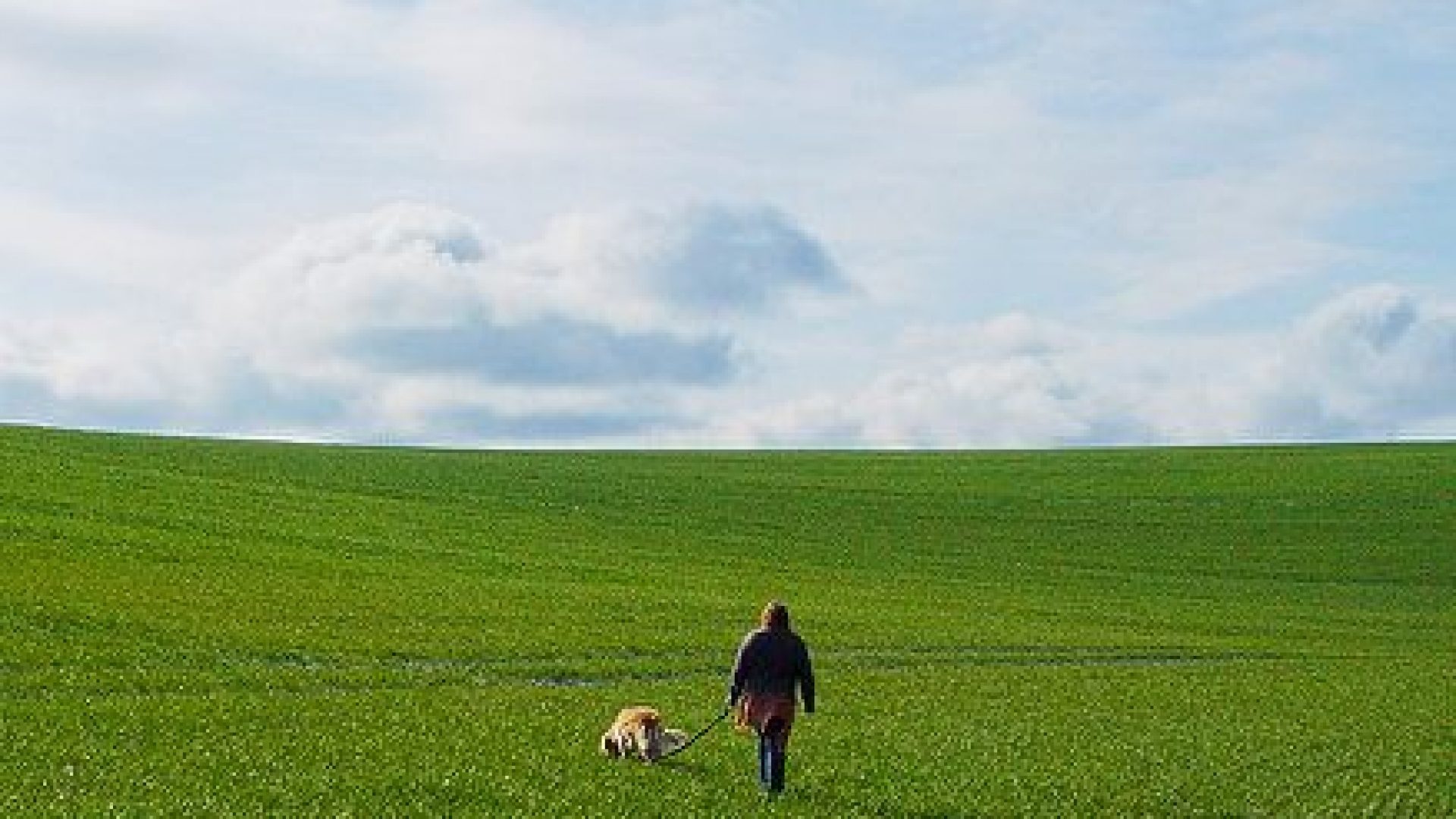 Alzheimer-Demenz Alzheimer-Demenz