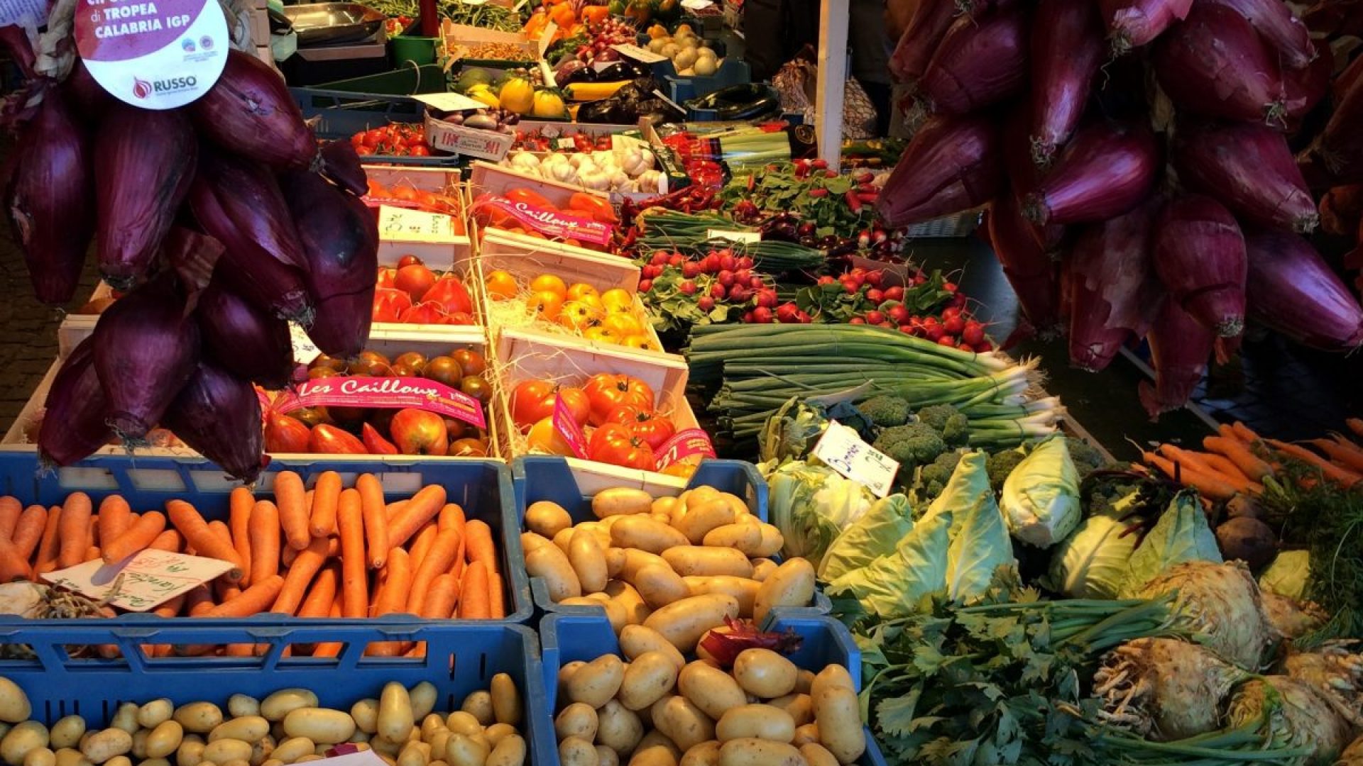 Gesunde Nahrung fürs Gehirn Frisches Obst und Gemüse dienen als gesunde Nahrung fürs Gehirn.